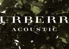  Музыкальный сборник Burberry Acoustic