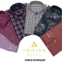 Новая коллекция мужских рубашек Van Laak в бутике Trivium 