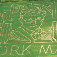 Кукурузный лабиринт в честь Гарри Поттера 