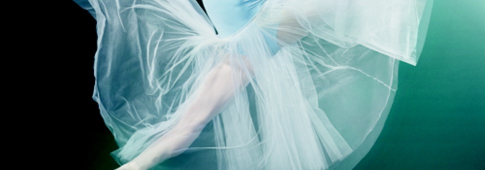 Гала-концерт мировых звезд балета DANCE OPEN