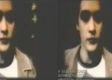  Speaking of grunge. Sonic Youth+Marc Jacobs+Chloe Sevigny. Sugar Kane, 1993