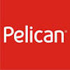 «Pelican» в Вологде