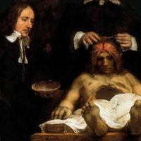 Рембрандт ван Рейн «Урок анатомии доктора Деймана» Sample: