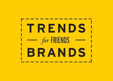  Руководитель направления онлайн-маркетинга в Trends Brands