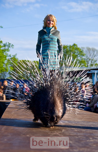 Дефиле в Ленинградском Зоопарке. Санкт-Петербург. Май 2009