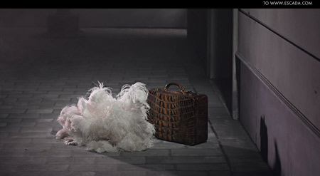 Банкротство Escada