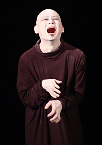 Vertical. Международный арт-фестиваль пластических театров «Вертикаль». Санкт-Петербург, 2007.