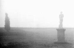 «Поэзия садов». Фотовыставка, посвящённая 100-летию Д. С. Лихачёва.