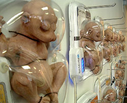 Art Biotech