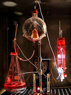 Art Biotech