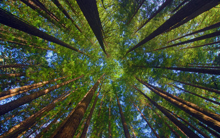 Бумага, пока!