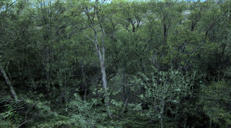 Современное искусство в традиционном музее - 2009