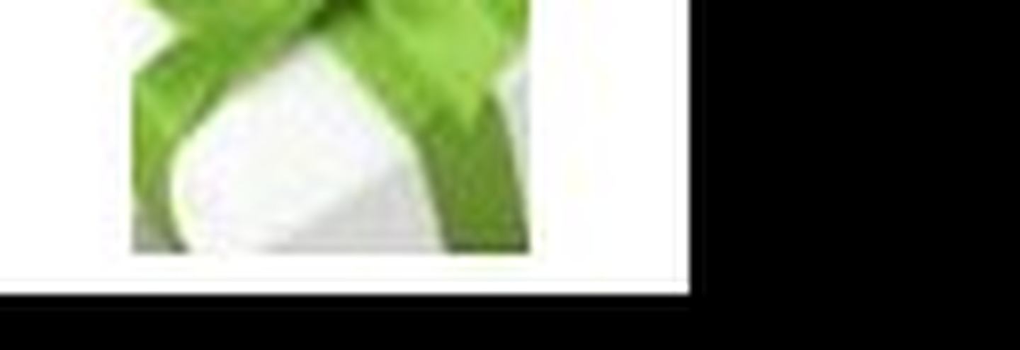 R.A.I: зимняя распродажа одежды 2008-2009