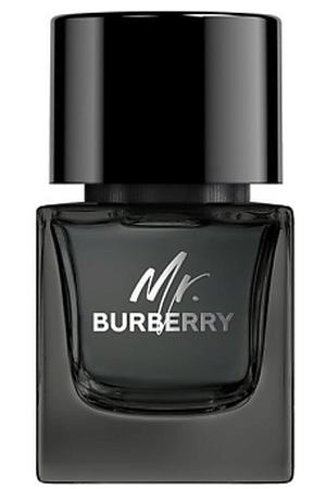 BURBERRY Mr. Burberry Eau de Parfum 50