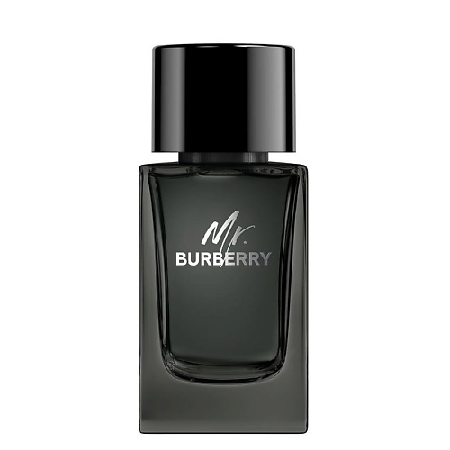 Где купить BURBERRY Mr. Burberry Eau de Parfum 100 Burberry 