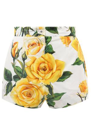 Хлопковые шорты Dolce & Gabbana