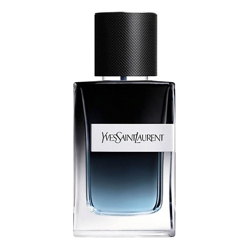 Где купить YVES SAINT LAURENT Мужская парфюмерная вода Y Vapo 60.0 YSL Beauty