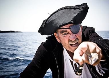  Пиратскую партию спутали с морскими разбойниками