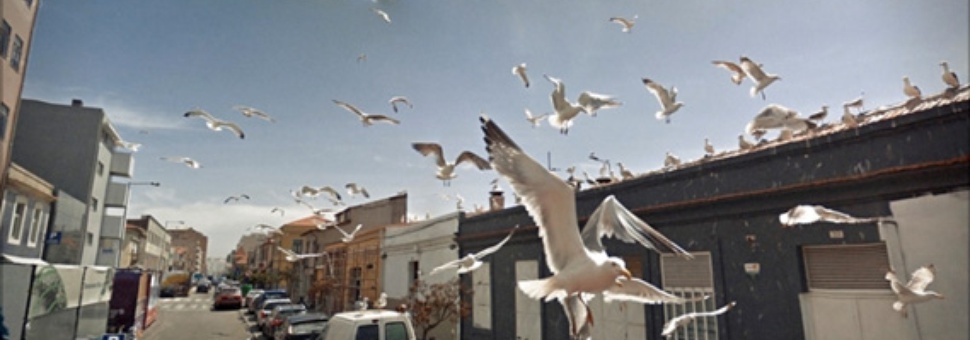 Джон Рафман "Девять глаз Google Street View"