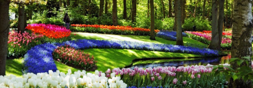 Moscow Flower Show
