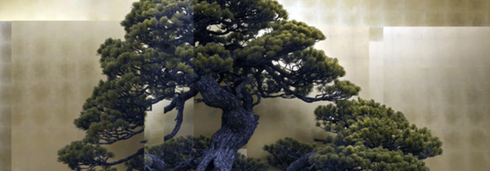 Выставка современной японской фотографии «Новые горизонты»