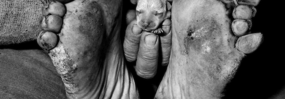Страна теней: фотографии Роджера Баллена, 1983-2011 гг.