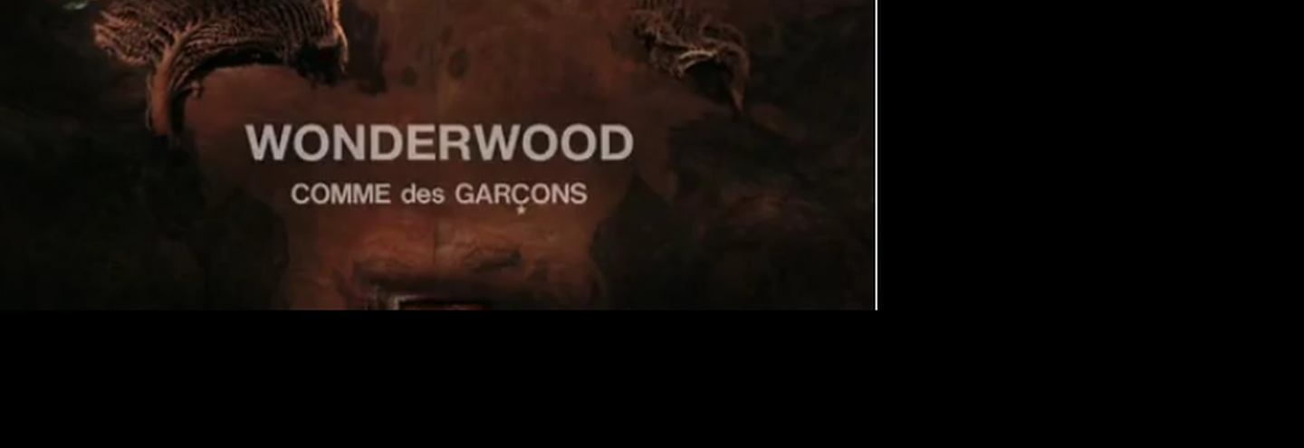 Comme des Garcons: Wonderwood