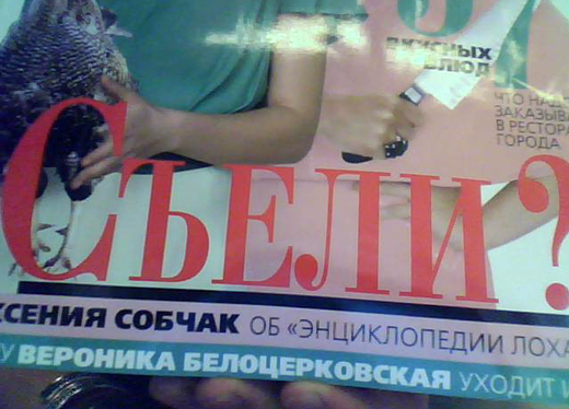 Собака.RU