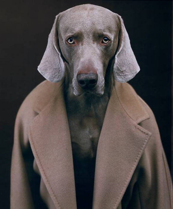 Ретроспектива Max Mara