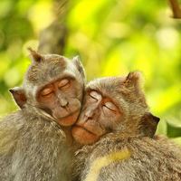 National Geographic открывает фотошколу 