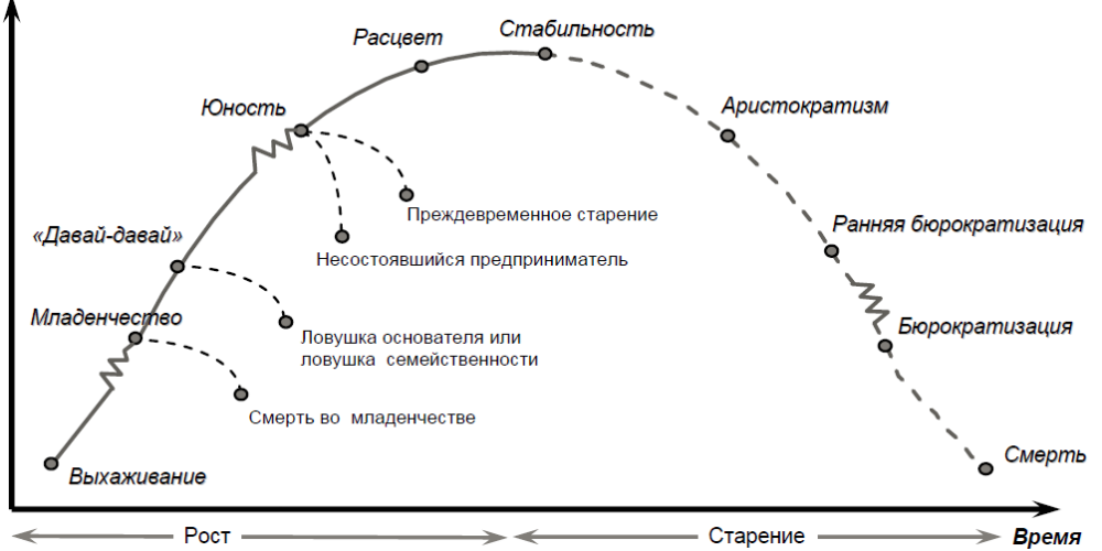 Ицхак Адизес модель жизненного цикла. Адизес жизненный цикл организации. И. Адизес: “теория жизненных циклов организации” (1979).. Кривая жизненного цикла организации по Адизесу.