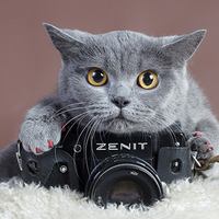Курсы фотографии Самое время: