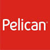 «Pelican» в Саратове