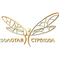 «Золотая стрекоза» в Челябинске