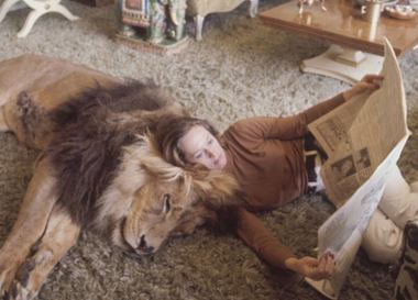 Фото дня: Каково это, жить в одном доме со львом