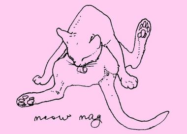 Журнал без спонсоров: Основатель Meow Mag – об успехах и провалах
