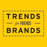 Руководитель направления онлайн-маркетинга в Trends Brands 