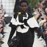 Valentino. Осень/Зима 2018-2019 Lookbook:
