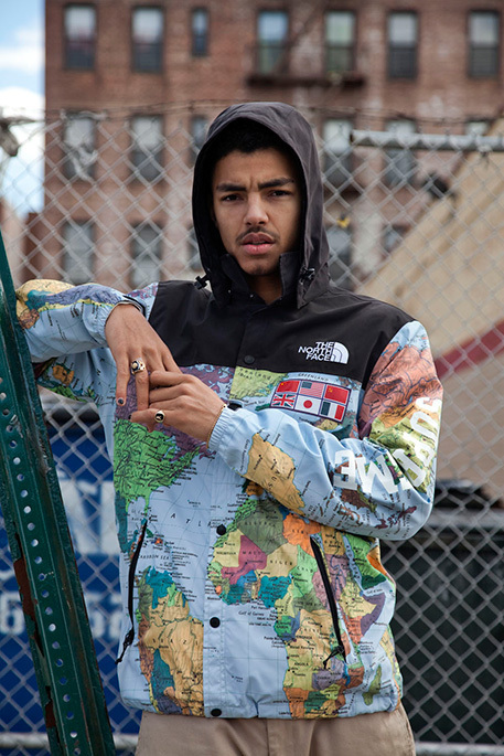 Supreme the north shop face tnf